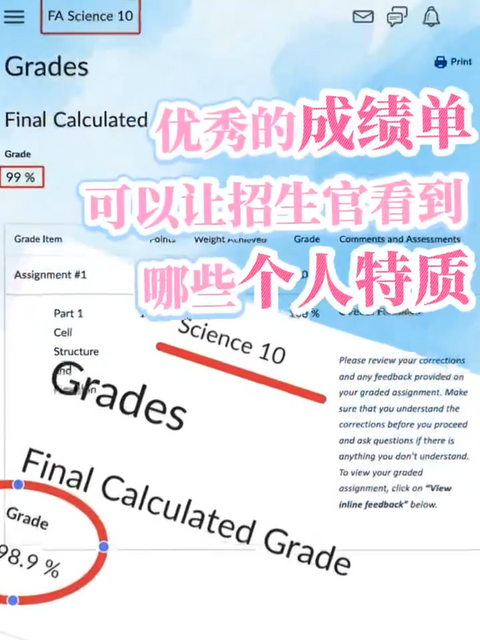 优秀的成绩单可以让招生官看到哪些个人特质？